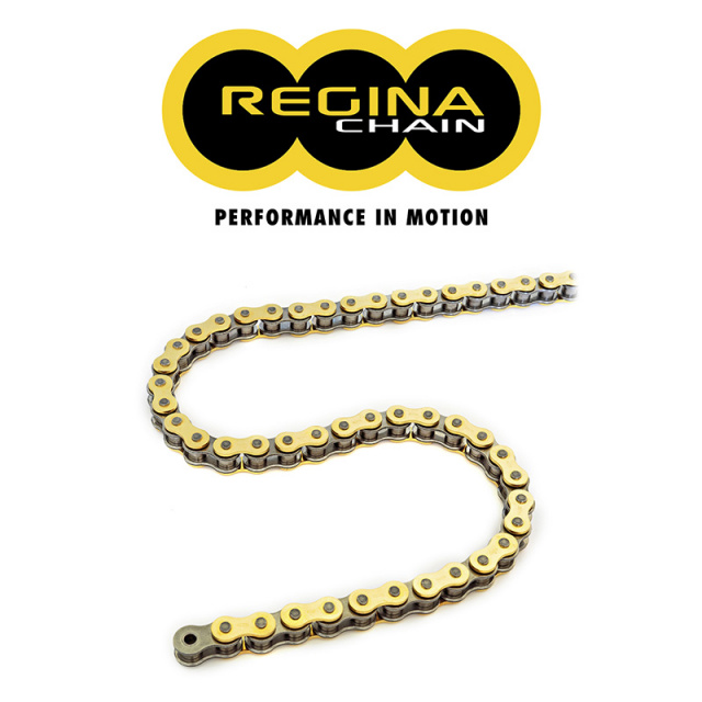 Regina #35 Roller Chain (BEST Quality on Market)