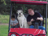 Jerry,Peetie & Jesse Crusing