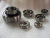 All Kart Bearings (Individually)