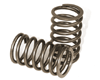 Valve Springs (Honda,Clones,Predators)